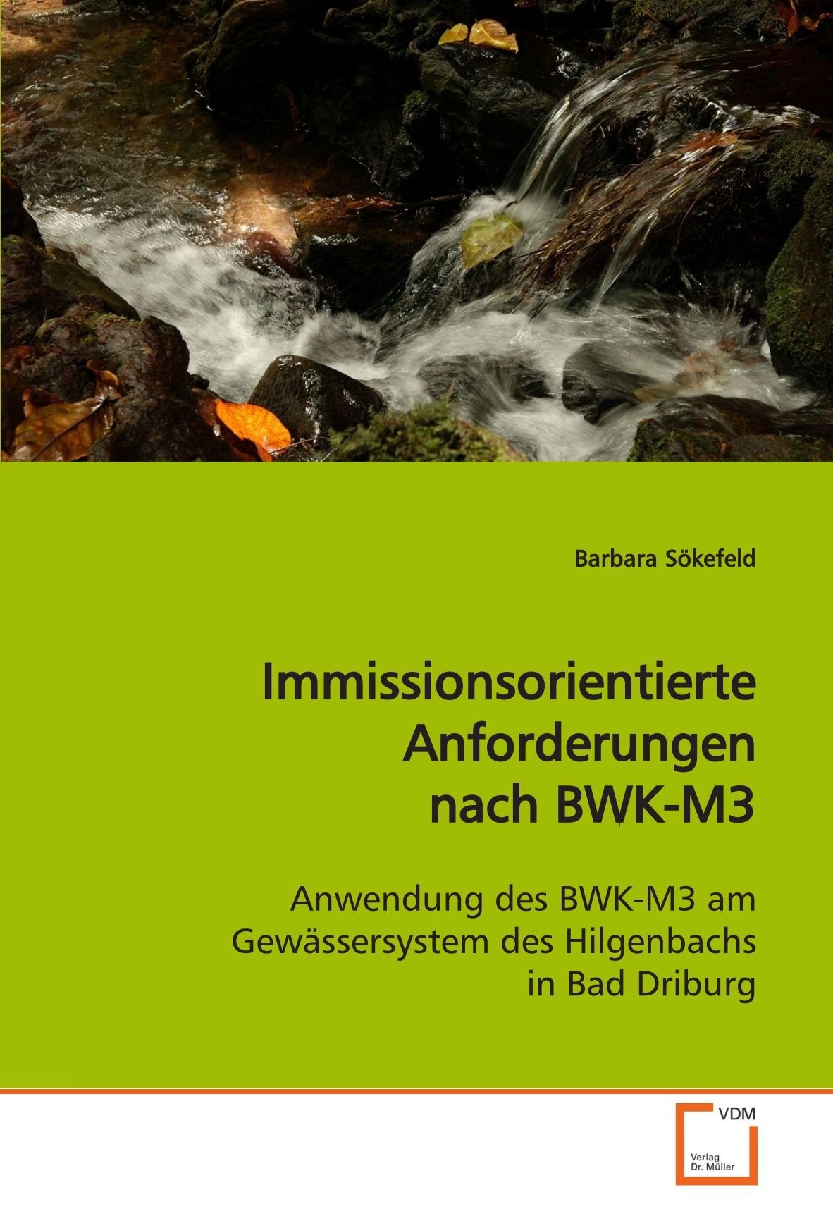 Immissionsorientierte Anforderungen nach BWK-M3: Anwendung des BWK-M3 am Gewässersystem des Hilgenbachs in Bad Driburg Business & Technology