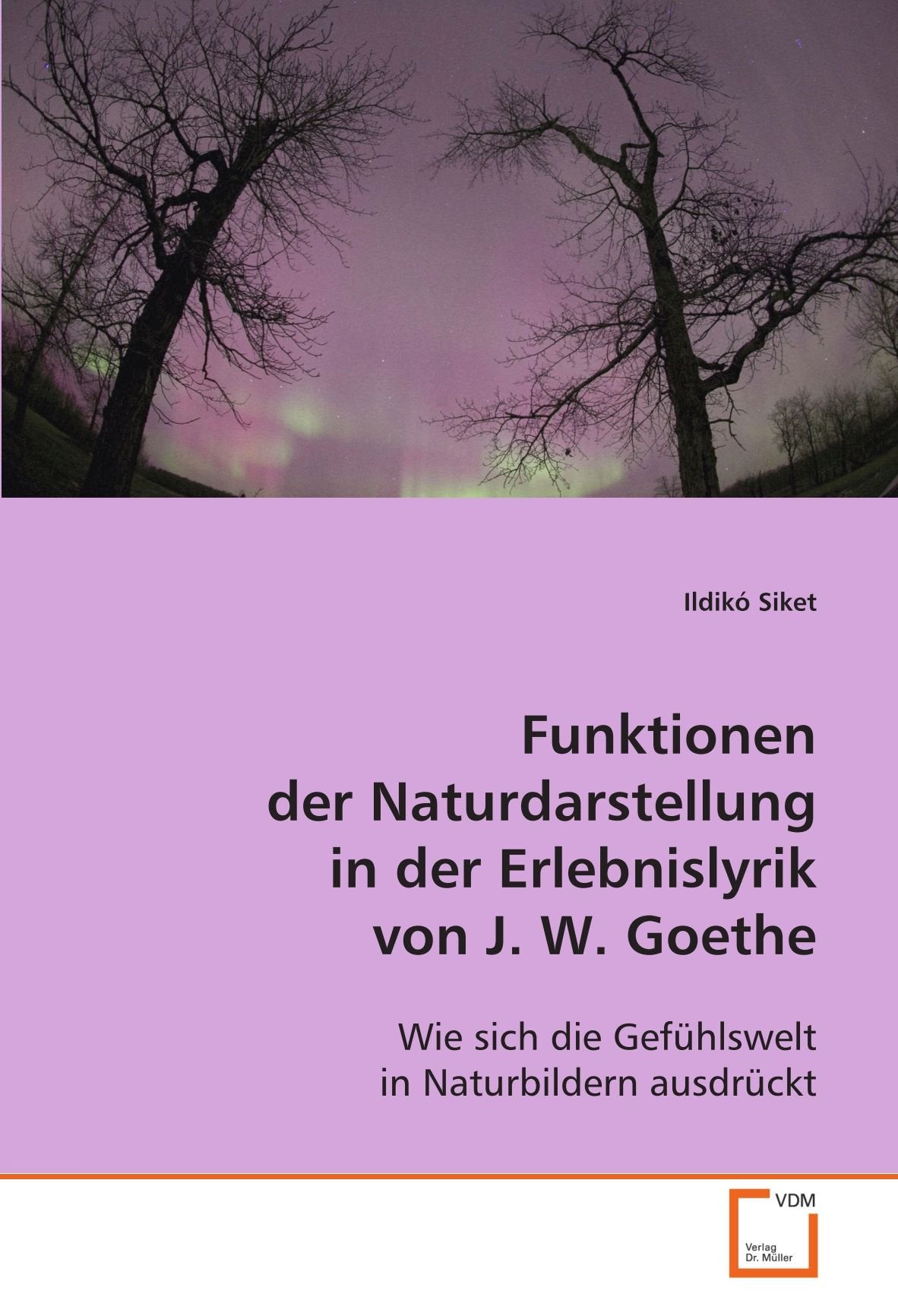 Funktionen der Naturdarstellung in der Erlebnislyrikvon J. W. Goethe book