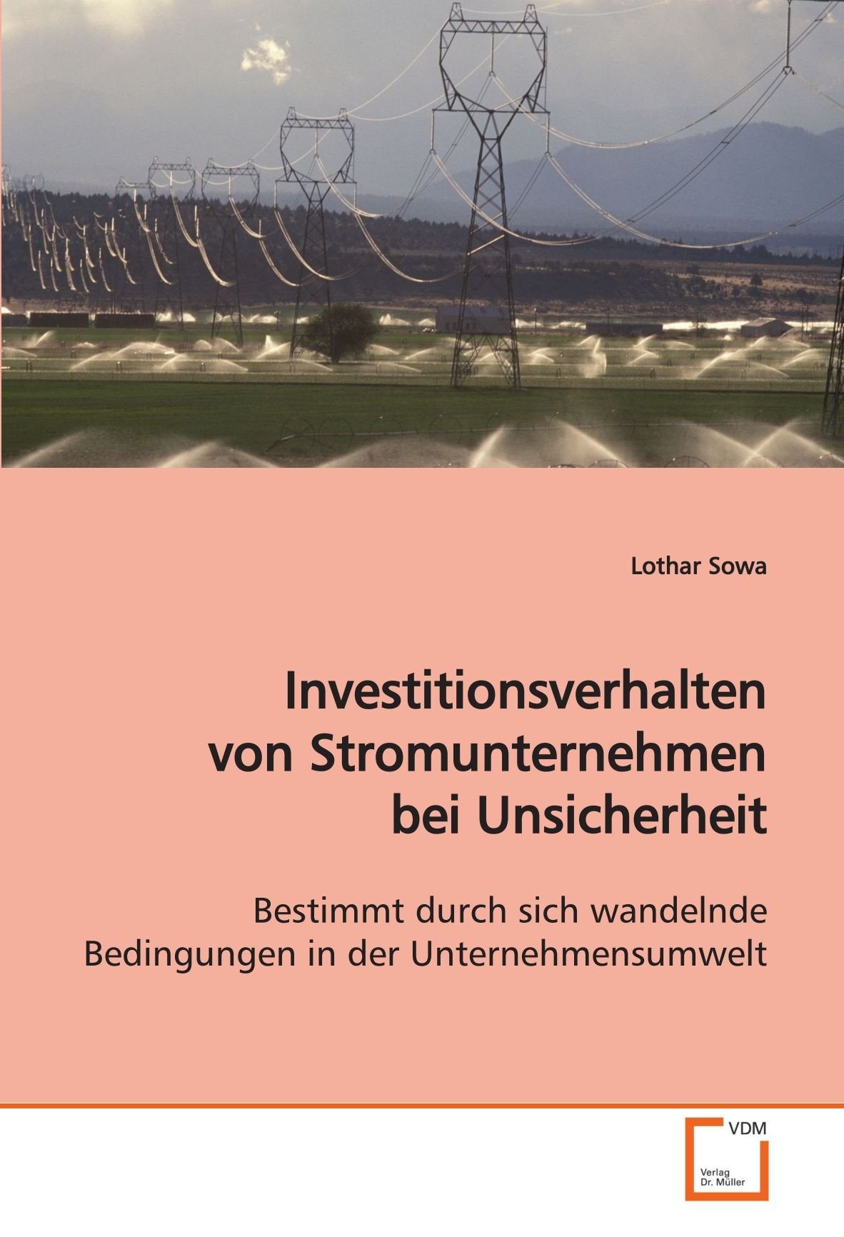 Investitionsverhalten von Stromunternehmen bei Unsicherheit: Bestimmt durch sich wandelnde Bedingungen in der Unternehmensumwelt Law
