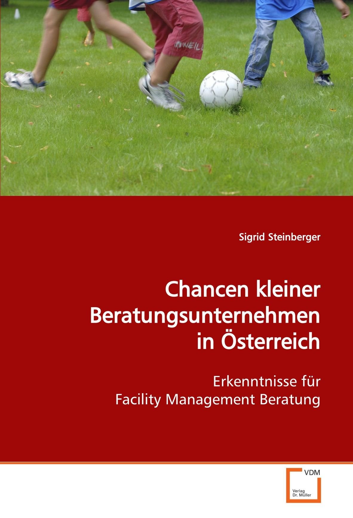 Chancen kleiner Beratungsunternehmen in Österreich: Erkenntnisse für Facility Management Beratung Law