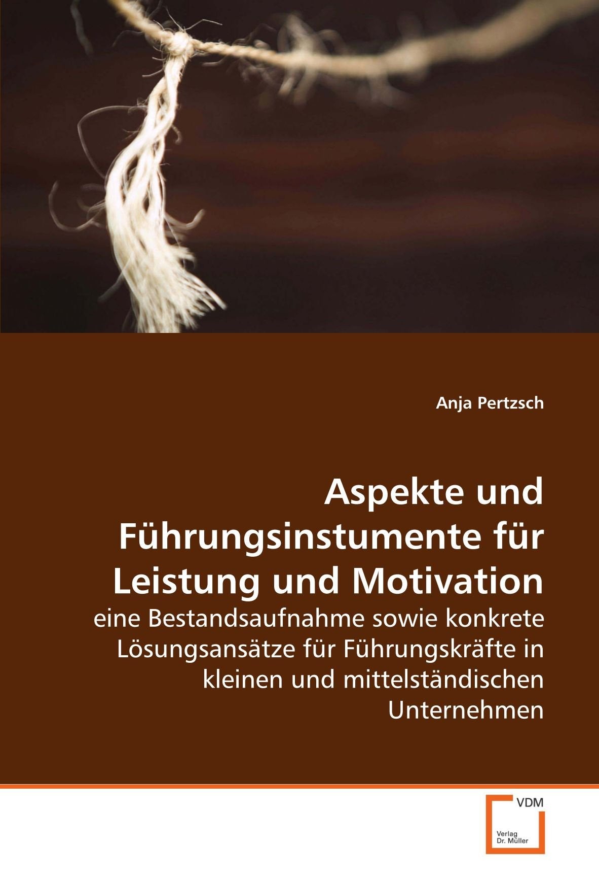 Aspekte und Führungsinstumente für Leistung undMotivation Law