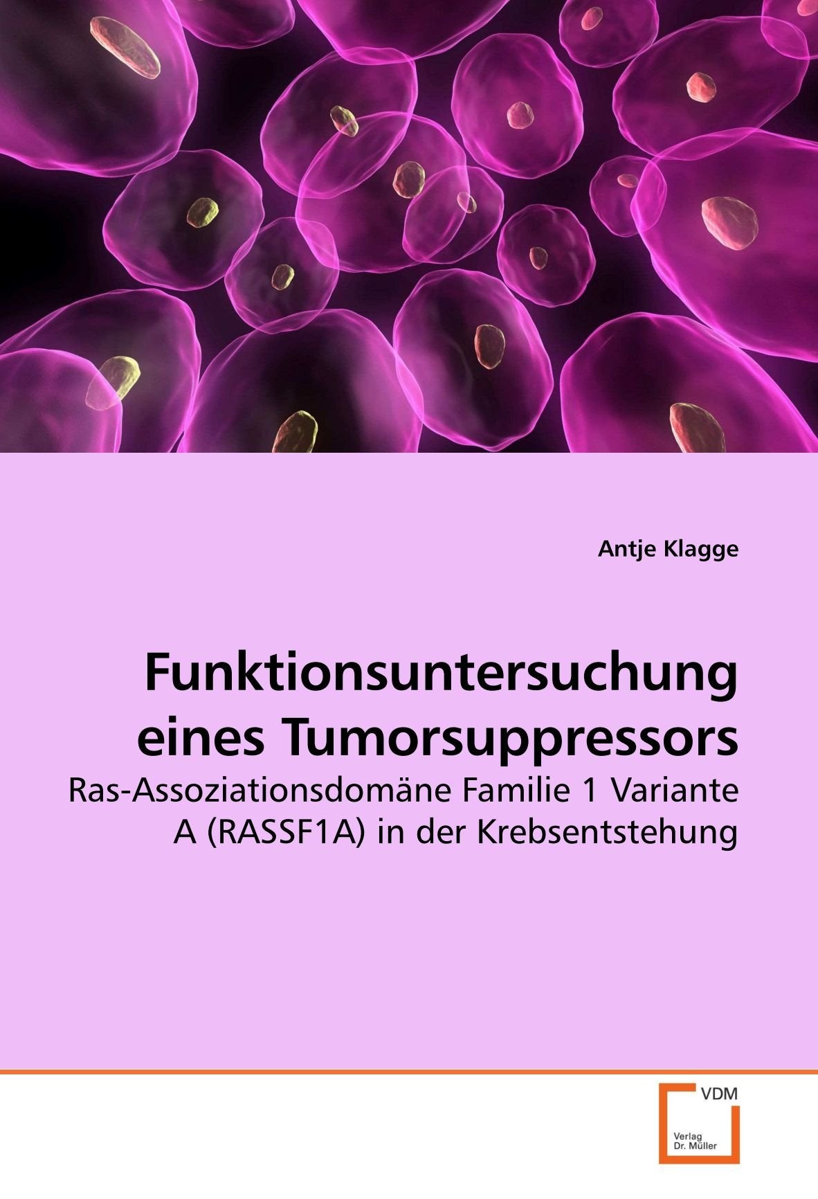 Funktionsuntersuchung eines Tumorsuppressors: Ras-Assoziationsdomäne Familie 1 Variante A (RASSF1A) in der Krebsentstehung Natural Sciences