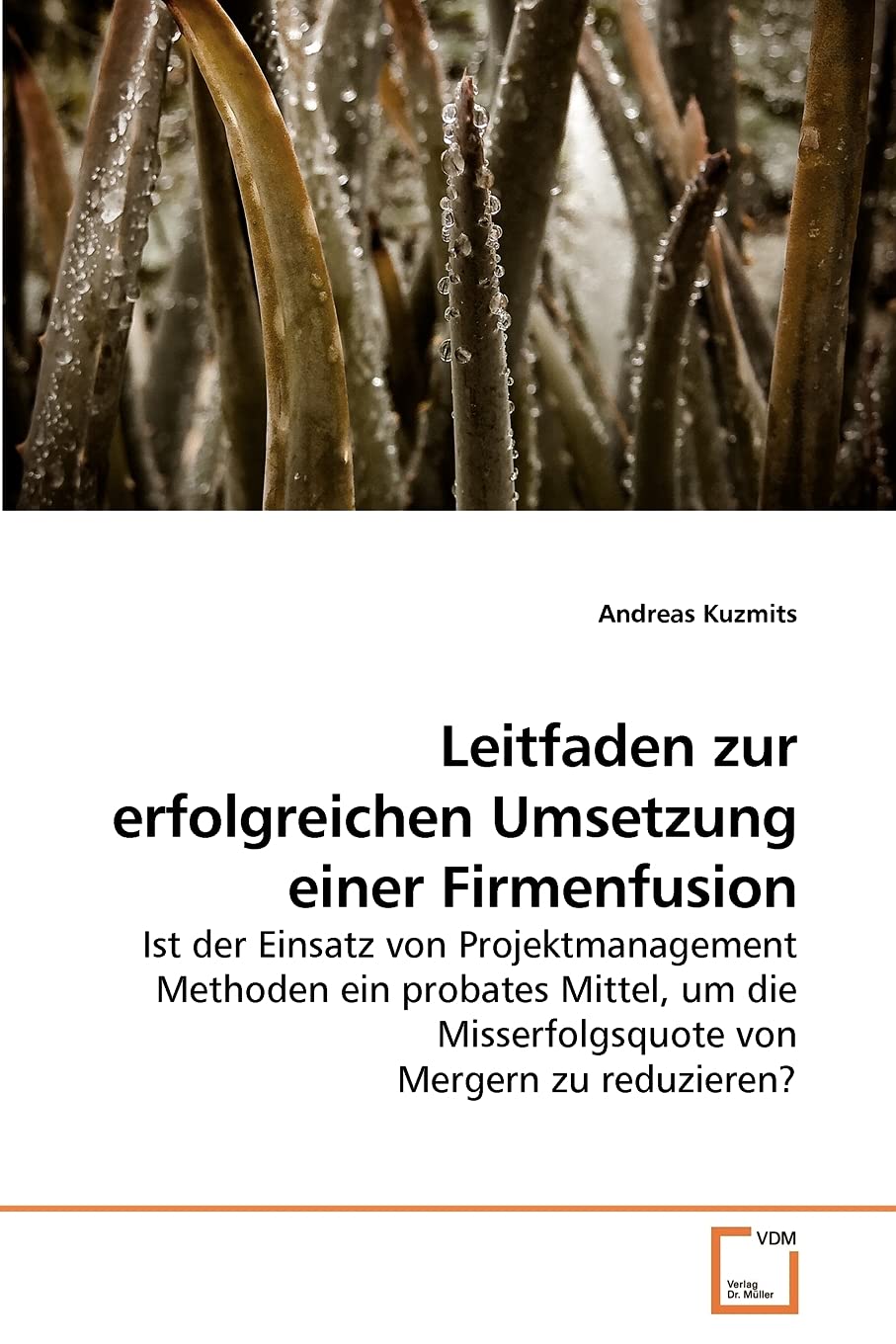 Leitfaden zur erfolgreichen Umsetzung einer Firmenfusion Law