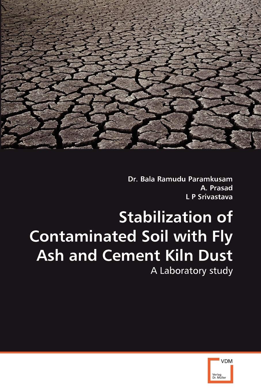 Stabilization of Contaminated Soil with Fly Ash and Cement Kiln Dust: A Laboratory study Business & Technology