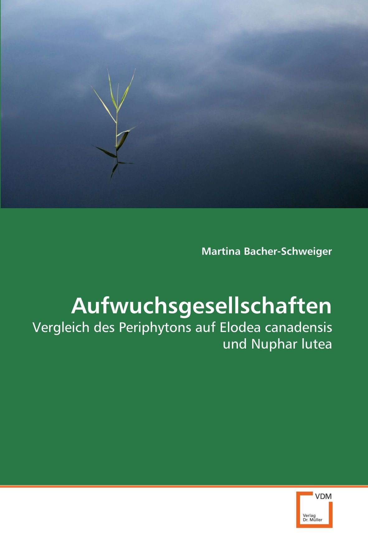 Aufwuchsgesellschaften: Vergleich des Periphytons auf Elodea canadensis und Nuphar lutea Natural Sciences