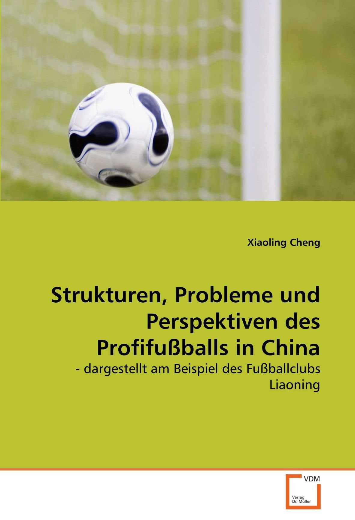 Strukturen, Probleme und Perspektiven des Profifußballs in China: - dargestellt am Beispiel des Fußballclubs Liaoning Leisure & Fun