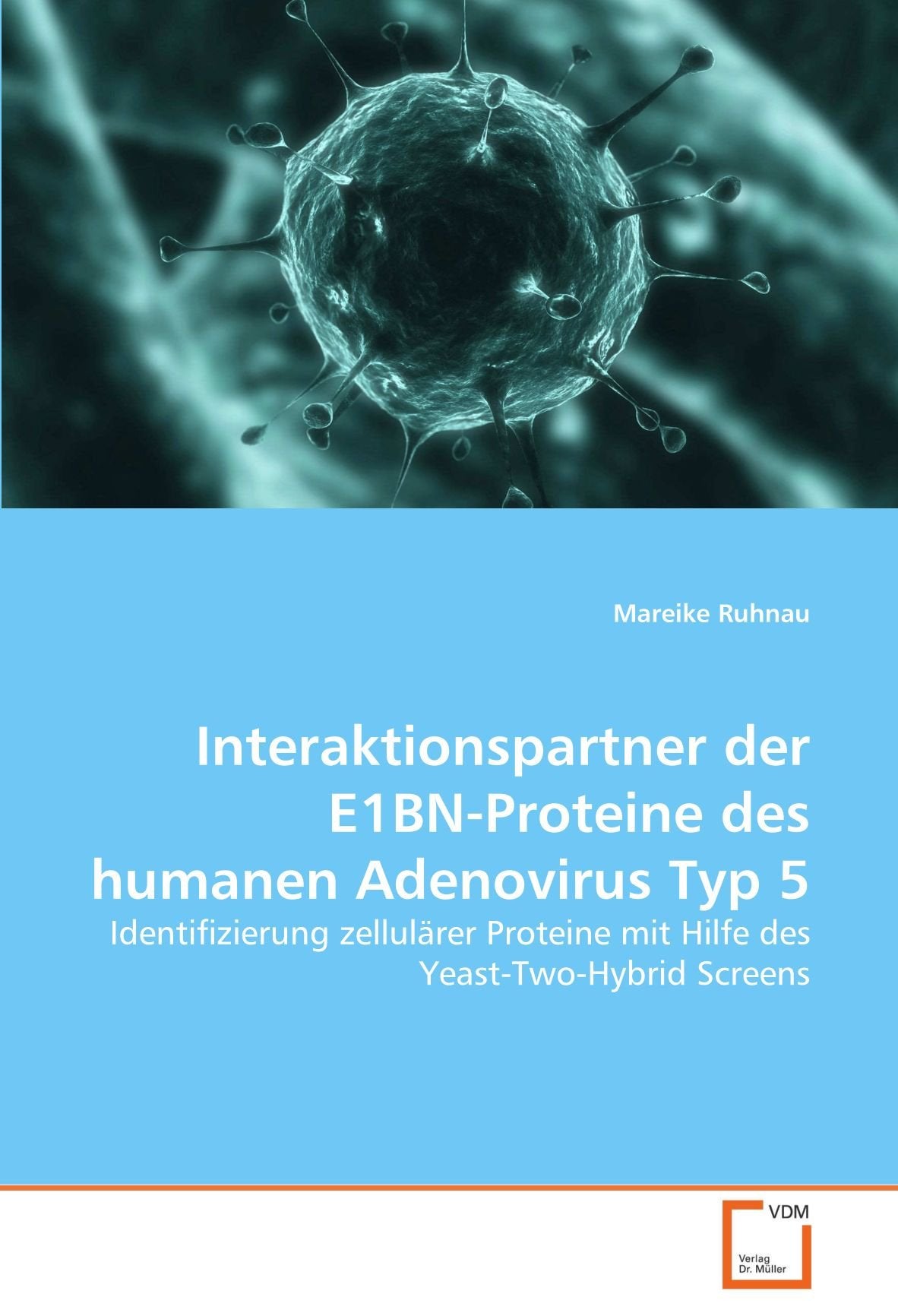 Interaktionspartner der E1BN-Proteine des humanen Adenovirus Typ 5: Identifizierung zellulärer Proteine mit Hilfe des Yeast-Two-Hybrid Screens Natural Sciences