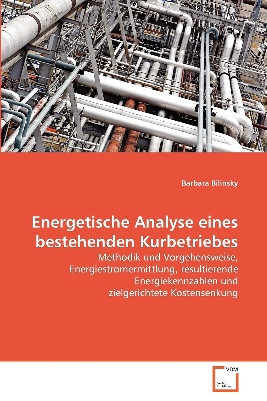 Energetische Analyse eines bestehenden Kurbetriebes: Methodik und Vorgehensweise, Energiestromermittlung, resultierende Energiekennzahlen und zielgerichtete Kostensenkung Business & Technology