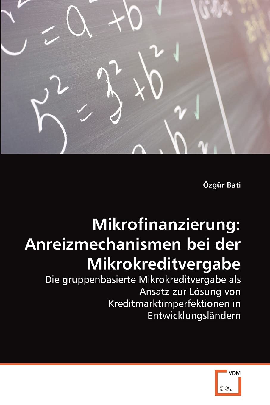 Mikrofinanzierung: Anreizmechanismen bei der Mikrokreditvergabe Law