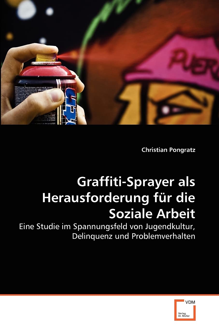Graffiti-Sprayer als Herausforderung für die Soziale Arbeit Business, Finance & Career