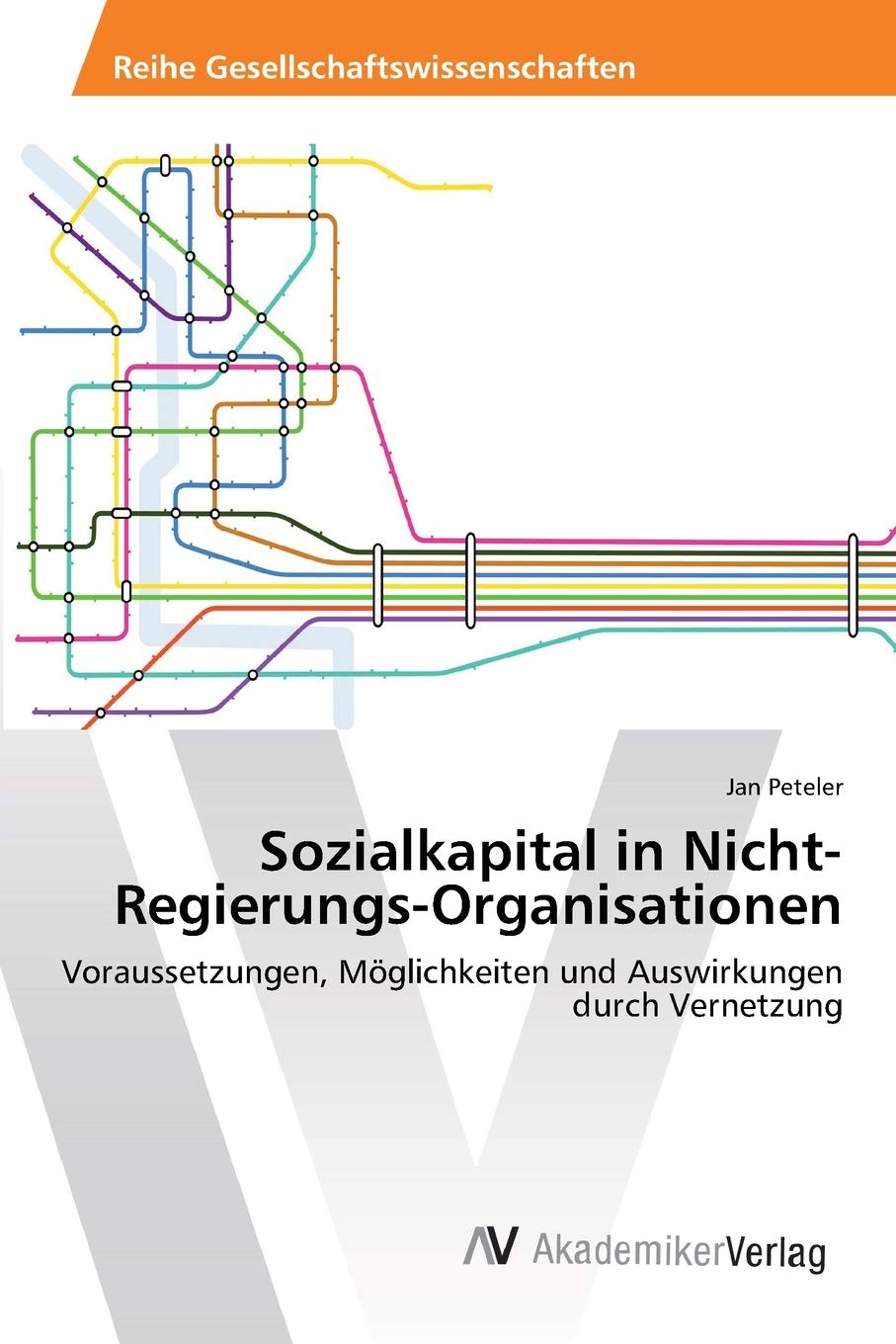Sozialkapital in Nicht-Regierungs-Organisationen: Voraussetzungen, Möglichkeiten und Auswirkungen durch Vernetzung Law