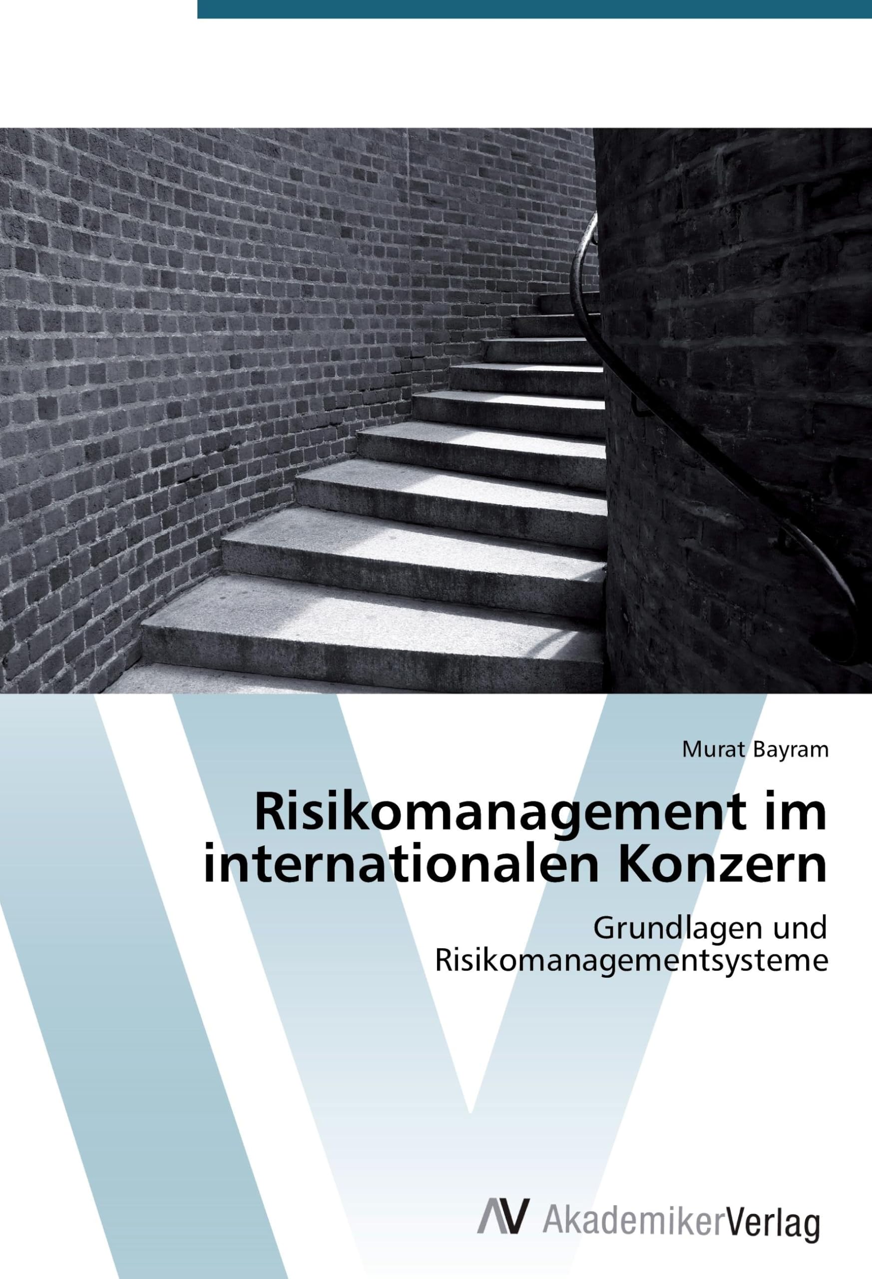 Risikomanagement im internationalen Konzern: Grundlagen und Risikomanagementsysteme Law