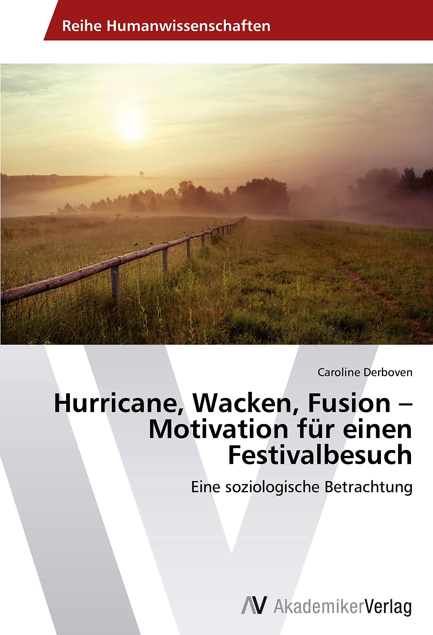 Hurricane, Wacken, Fusion – Motivation für einen Festivalbesuch: Eine soziologische Betrachtung Arts & Music