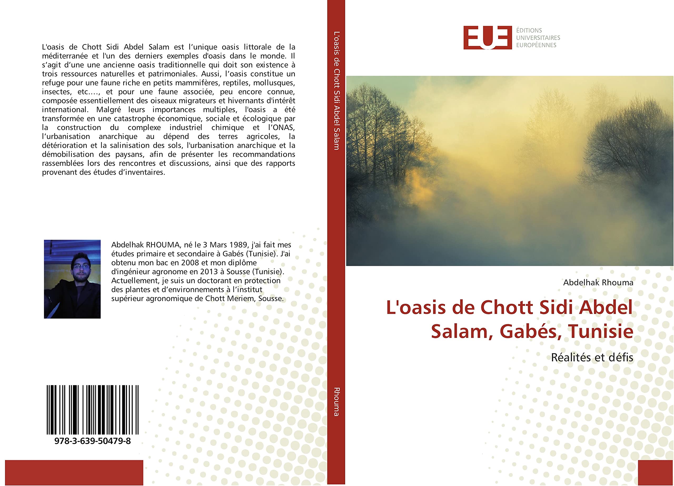 L'oasis de Chott Sidi Abdel Salam, Gabés, Tunisie book