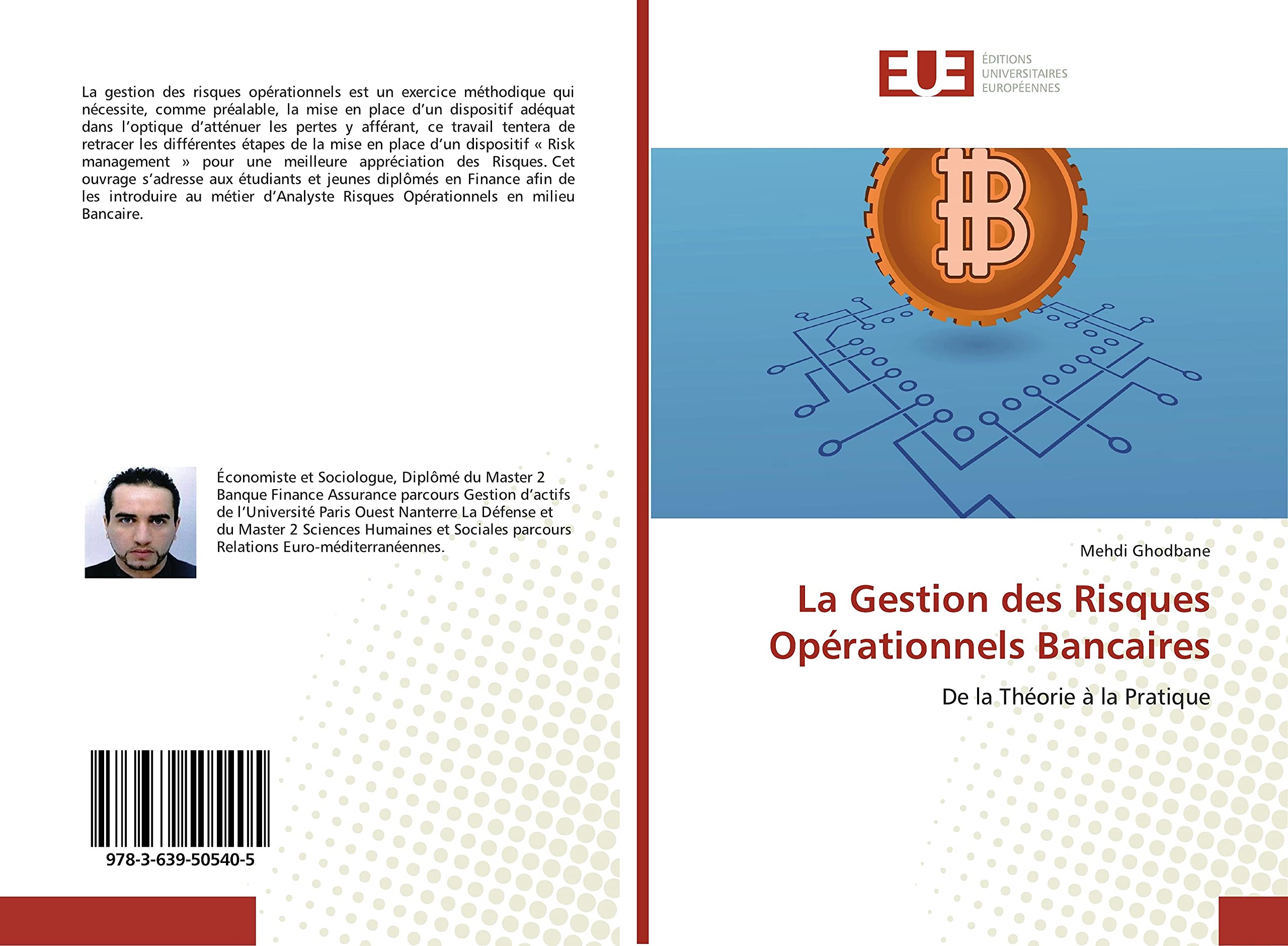 La Gestion des Risques Opérationnels Bancaires: De la Théorie à la Pratique book