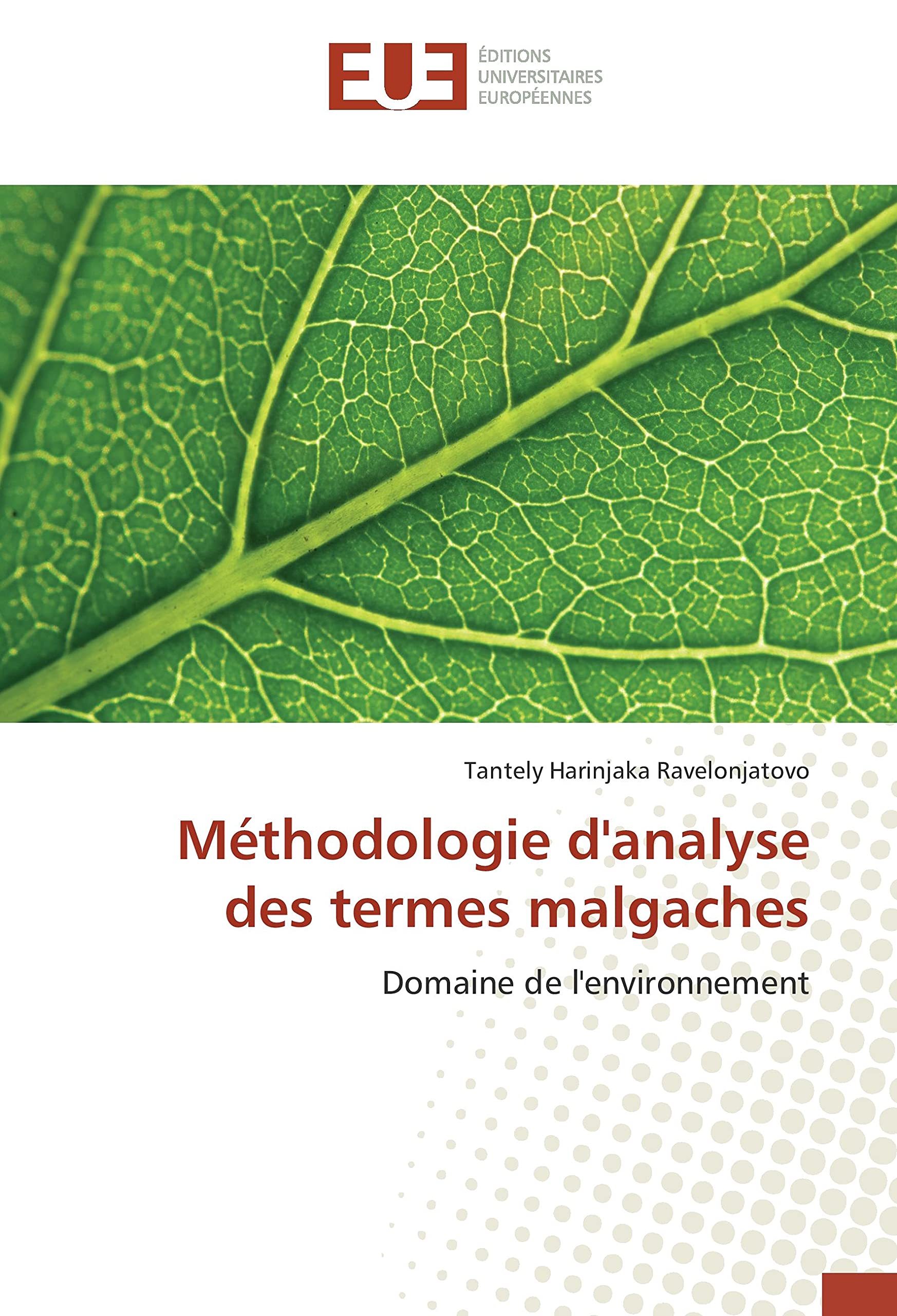 Méthodologie d'analyse des termes malgaches: Domaine de l'environnement book