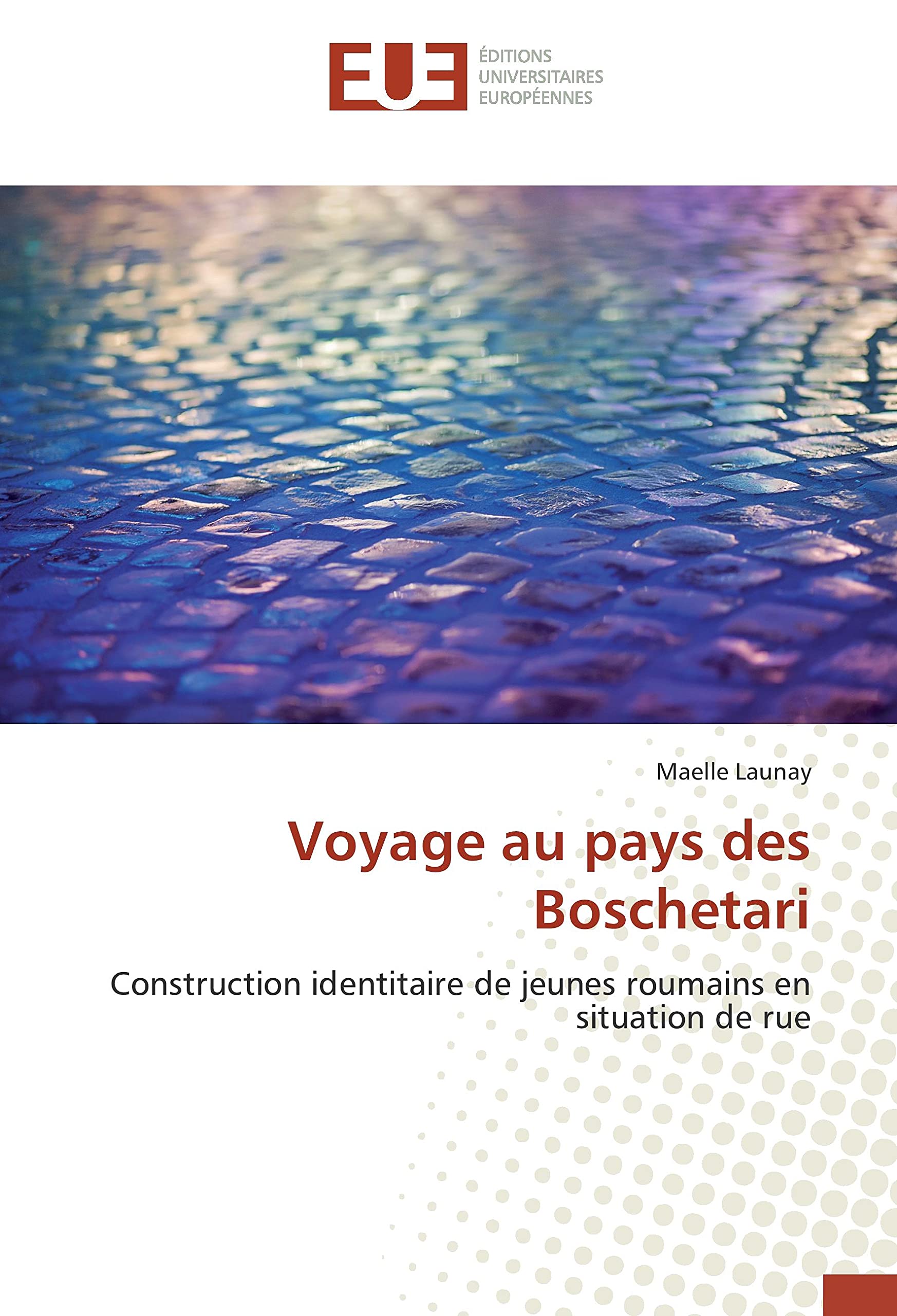 Voyage au pays des Boschetari: Construction identitaire de jeunes roumains en situation de rue book