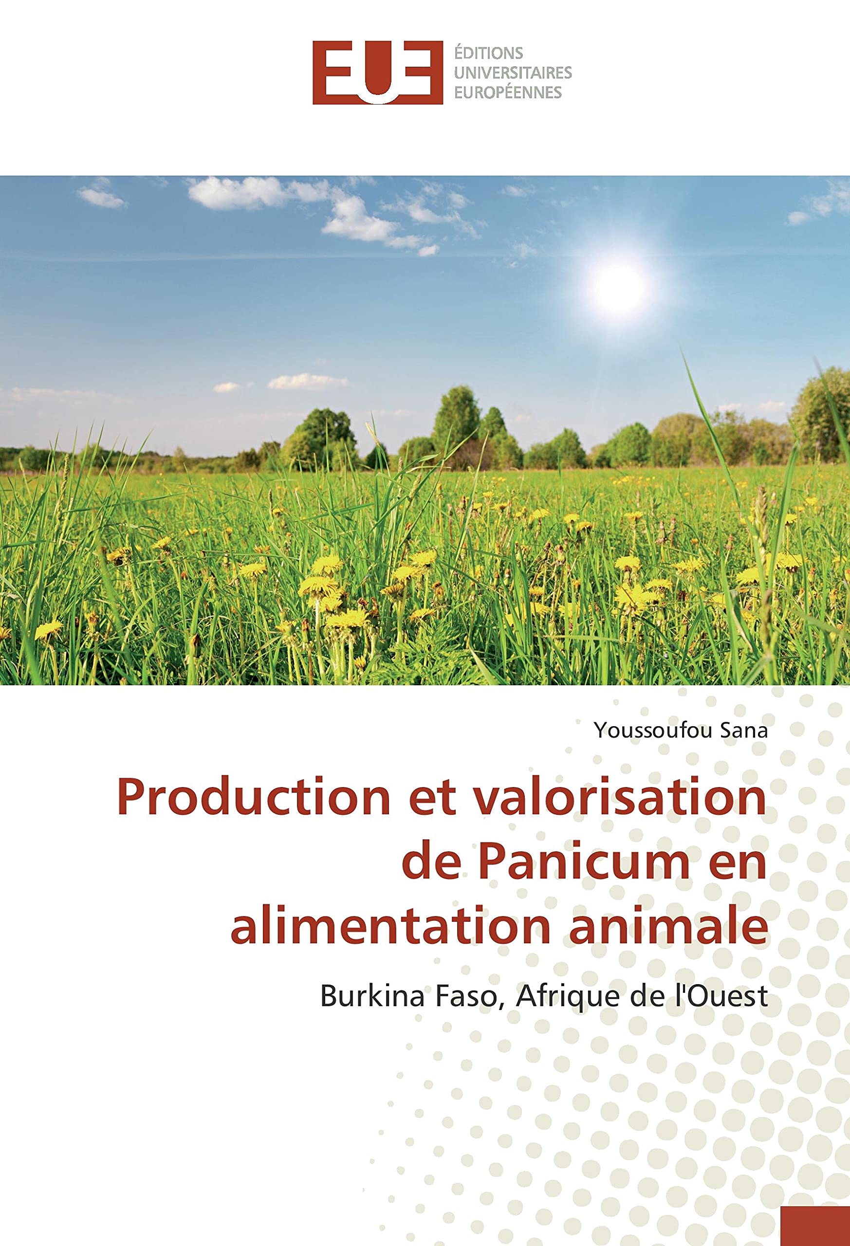 Production et valorisation de Panicum en alimentation animale: Burkina Faso, Afrique de l'Ouest book