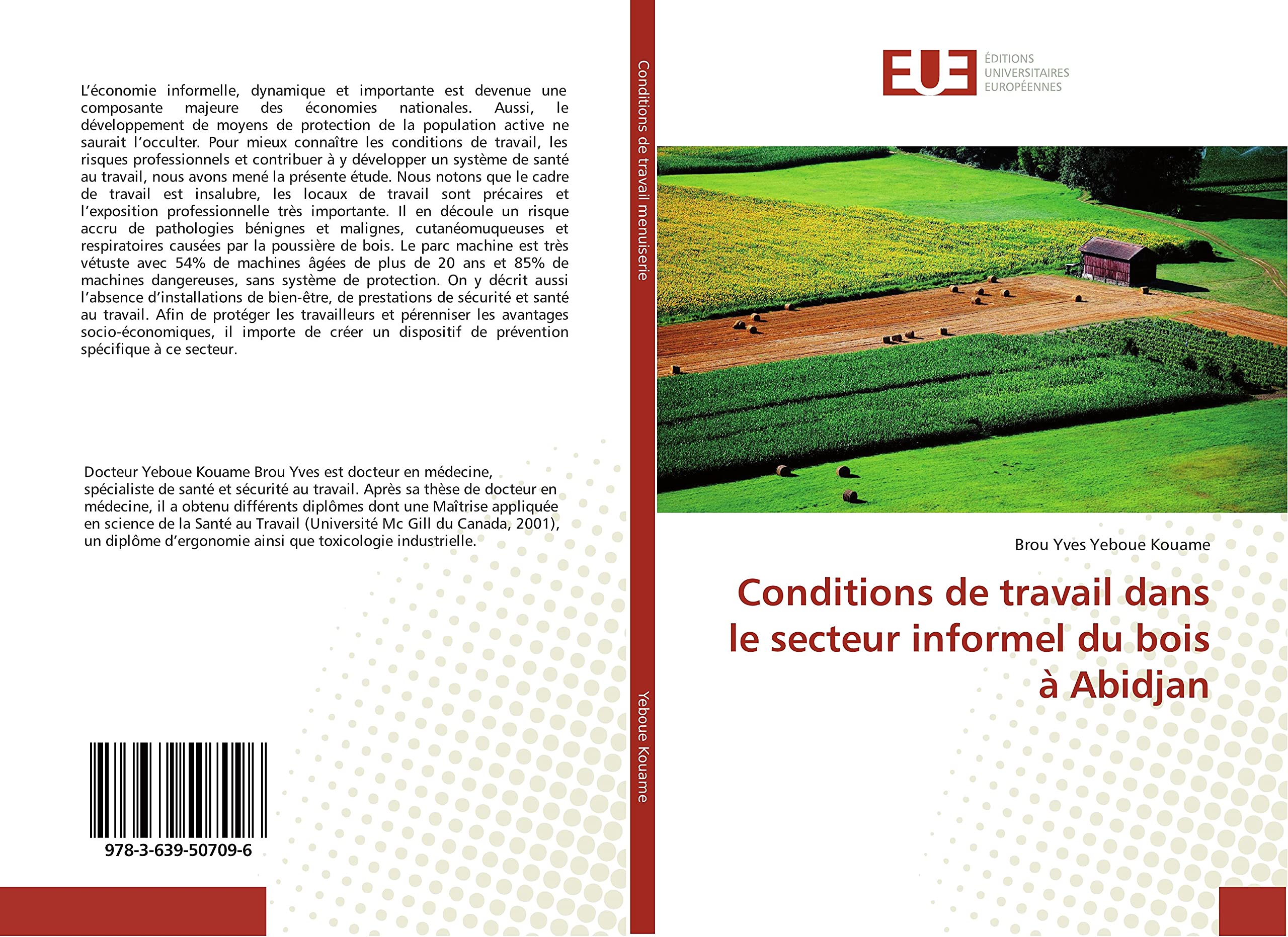 Conditions de travail dans le secteur informel du bois à Abidjan book