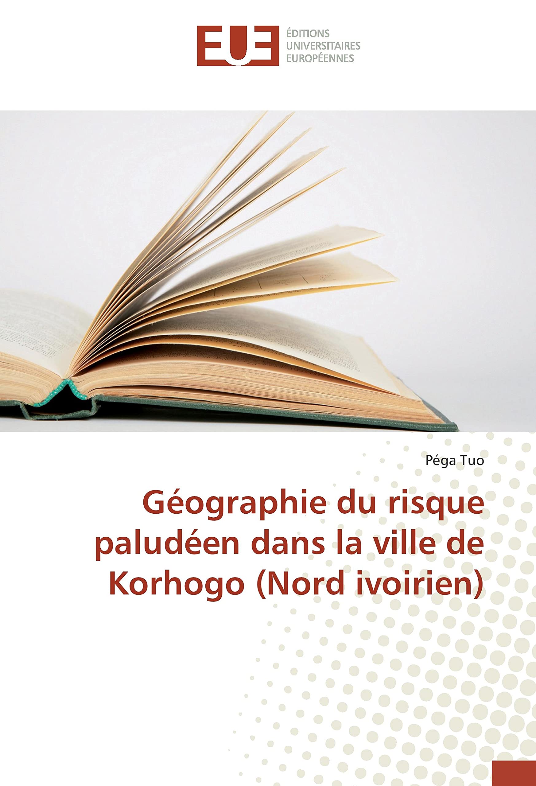 Géographie du risque paludéen dans la ville de Korhogo (Nord ivoirien) book