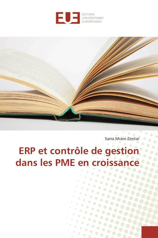 ERP et contrôle de gestion dans les PME en croissance book