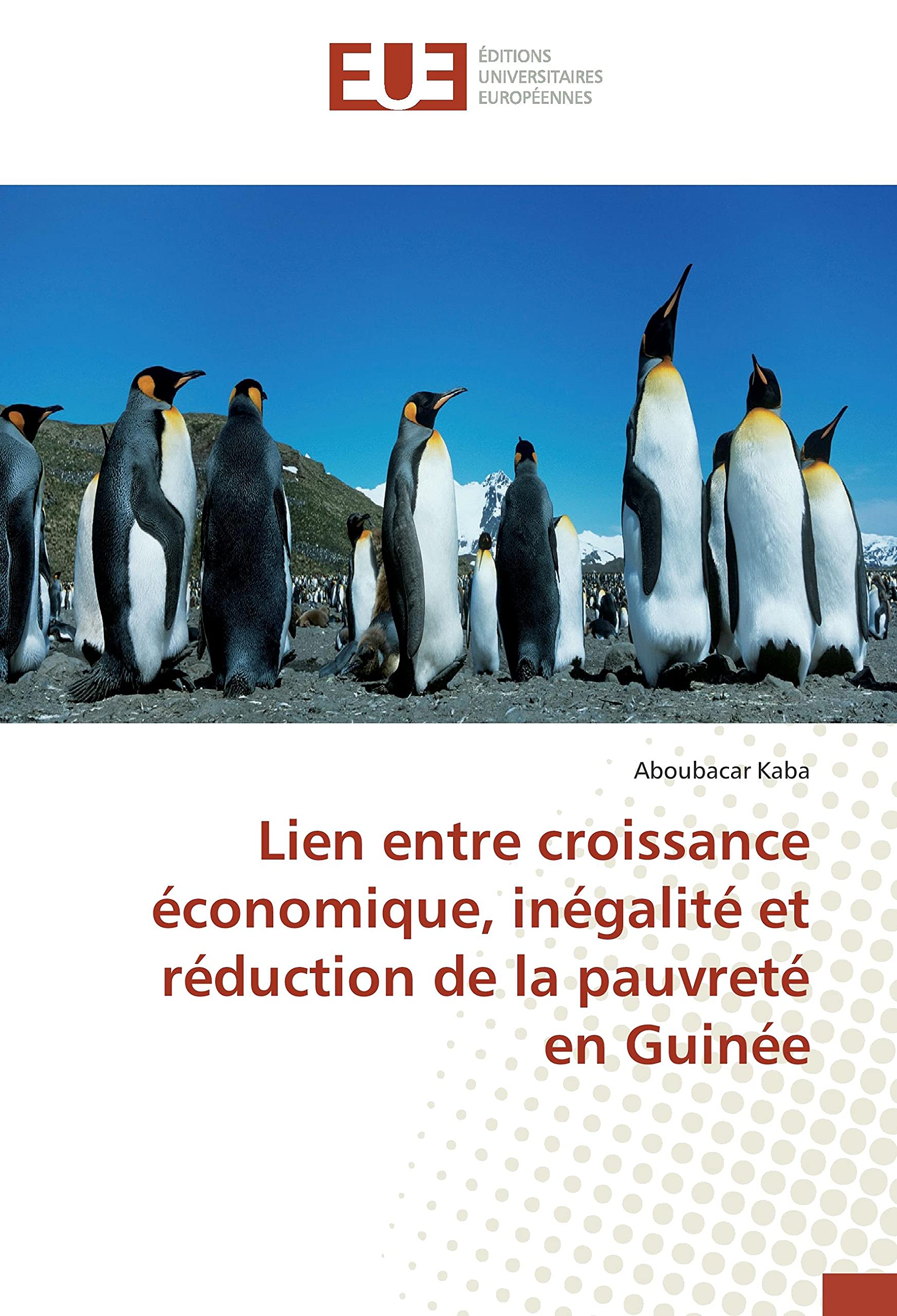 Lien entre croissance economique, inegalite et reduction de la pauvrete en Guinee book