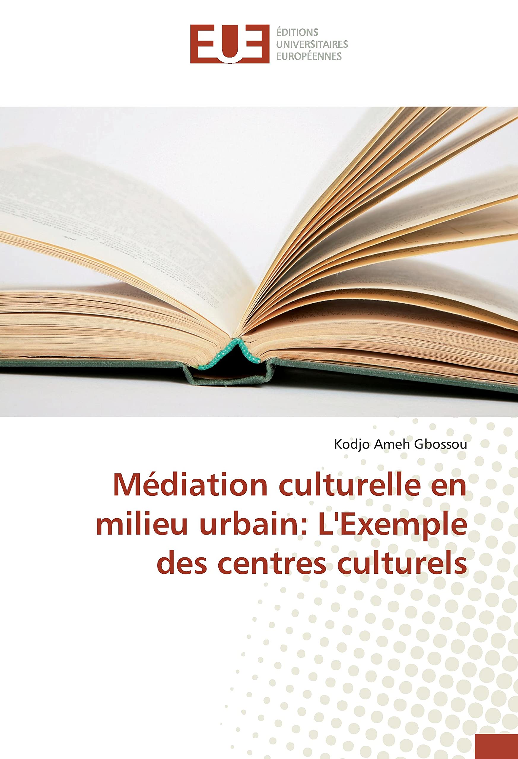 Médiation culturelle en milieu urbain: L'Exemple des centres culturels book