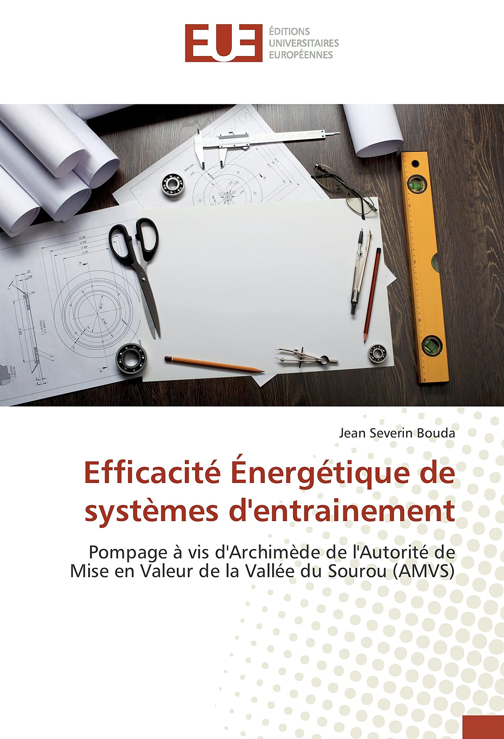 Efficacité Énergétique de systèmes d'entrainement: Pompage à vis d'Archimède de l'Autorité de Mise en Valeur de la Vallée du Sourou (AMVS) book
