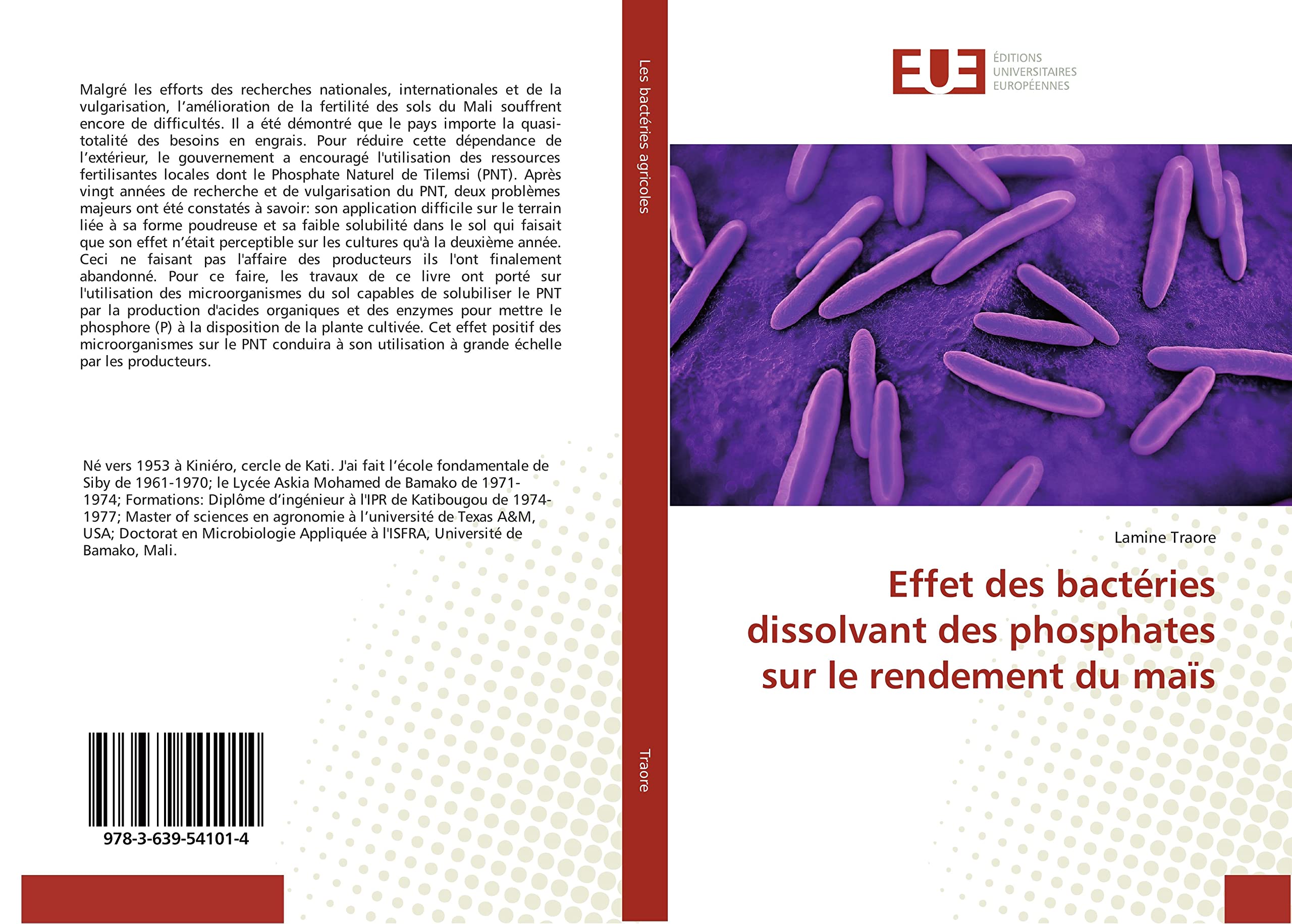 Effet des bactéries dissolvant des phosphates sur le rendement du maïs book