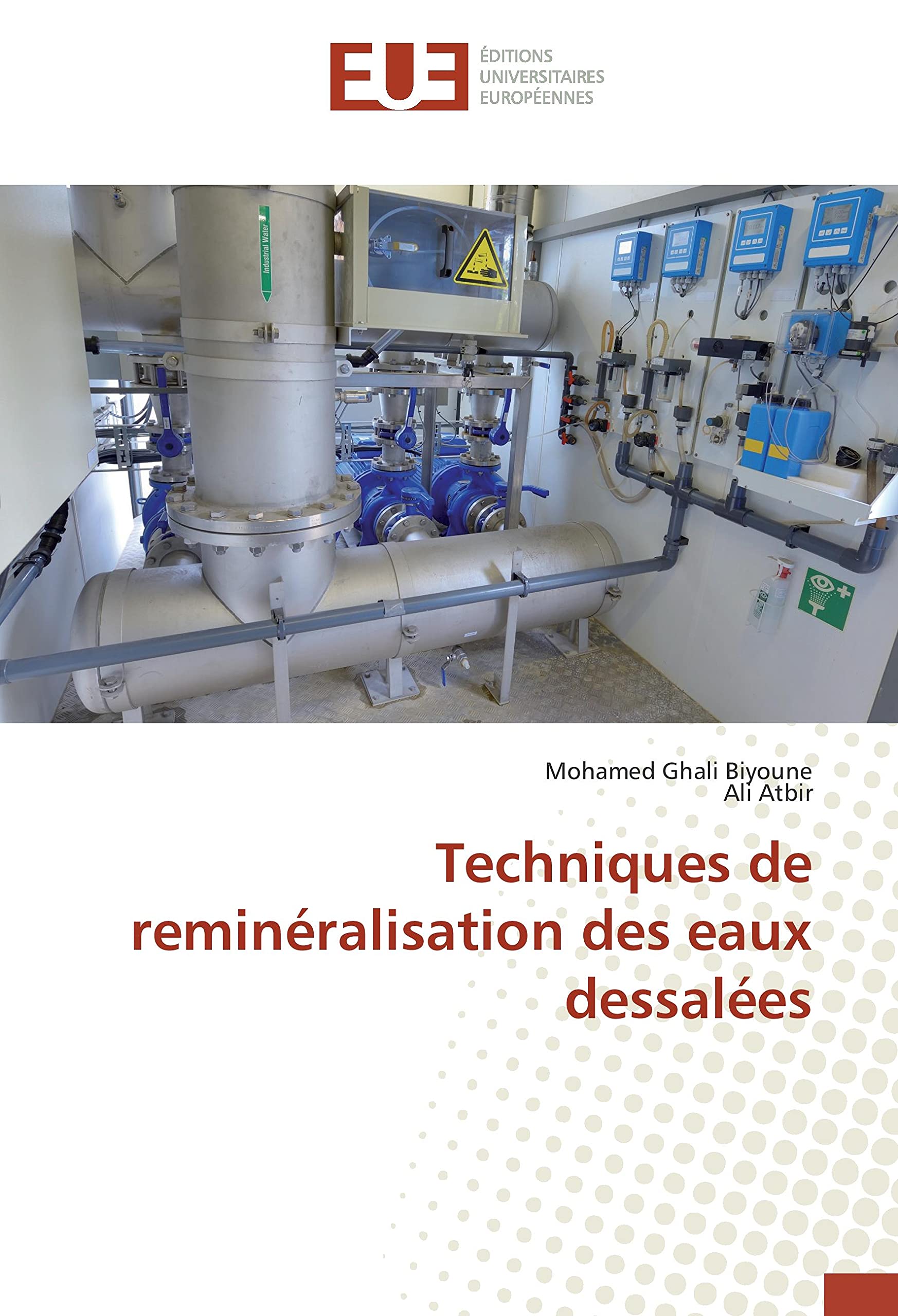 Techniques de reminéralisation des eaux dessalées book