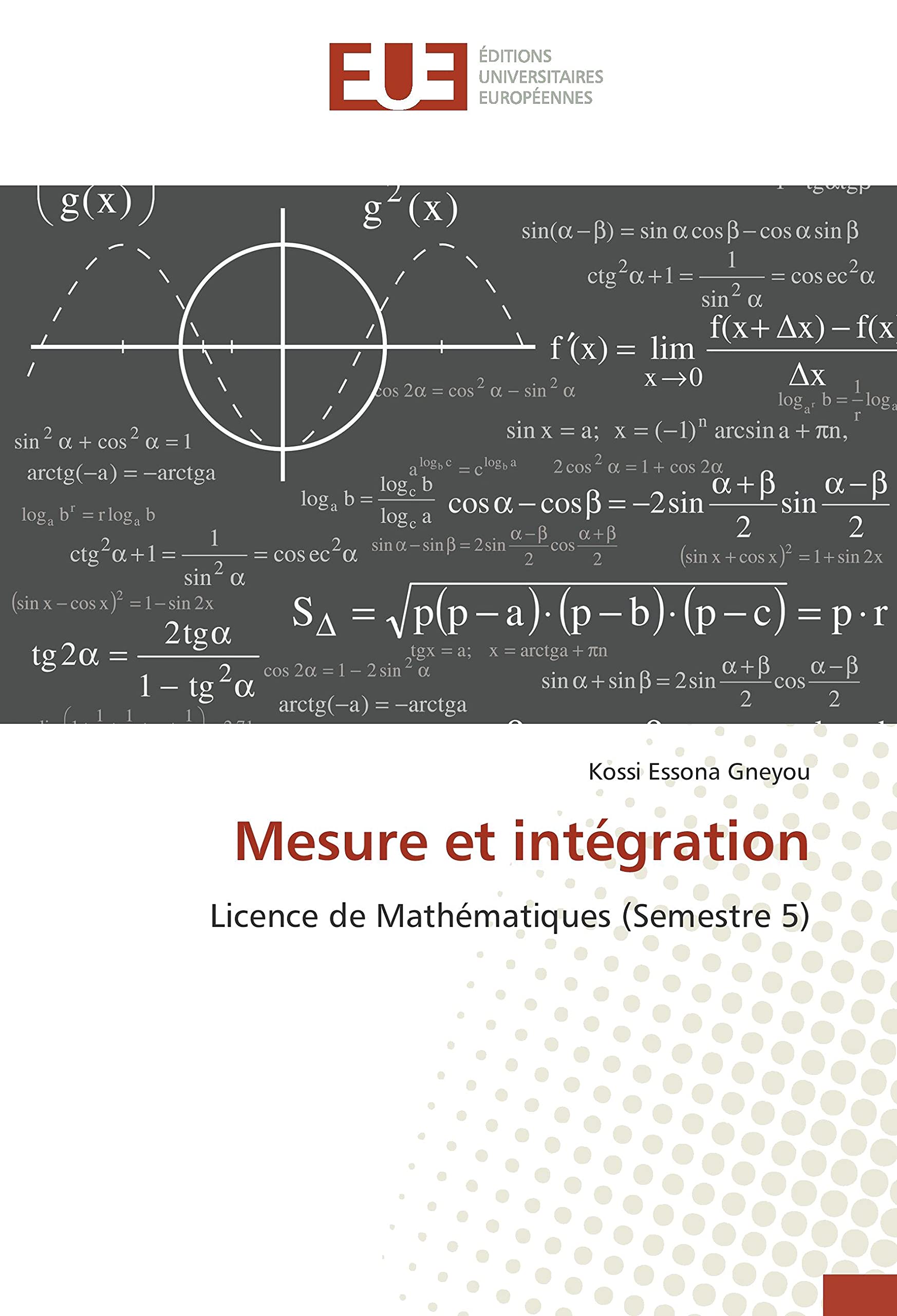 Mesure et integration: Licence de Mathematiques (Semestre 5) book