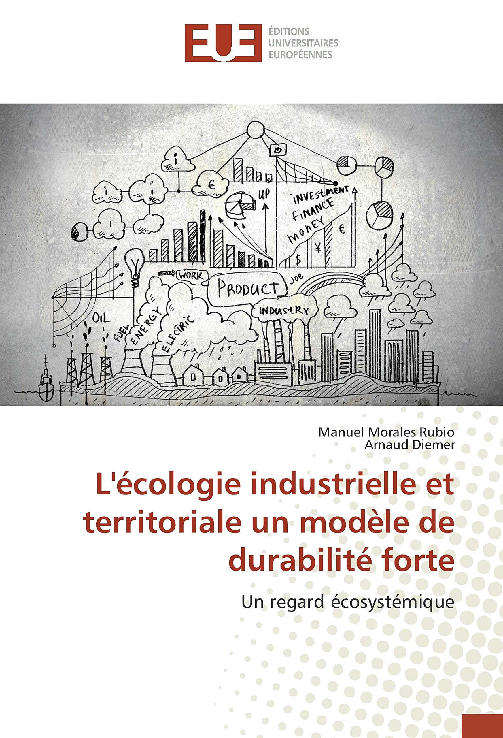 L'écologie industrielle et territoriale un modèle de durabilité forte: Un regard écosystémique book