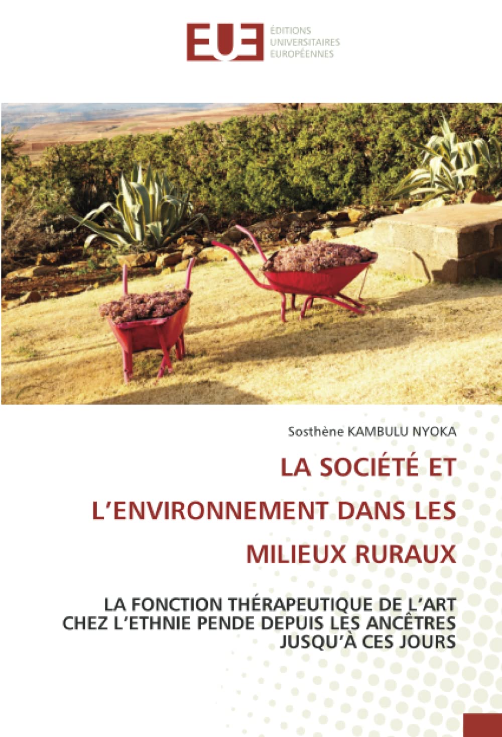LA SOCIÉTÉ ET L’ENVIRONNEMENT DANS LES MILIEUX RURAUX: LA FONCTION THÉRAPEUTIQUE DE L’ART CHEZ L’ETHNIE PENDE DEPUIS LES ANCÊTRES JUSQU’À CES JOURS book