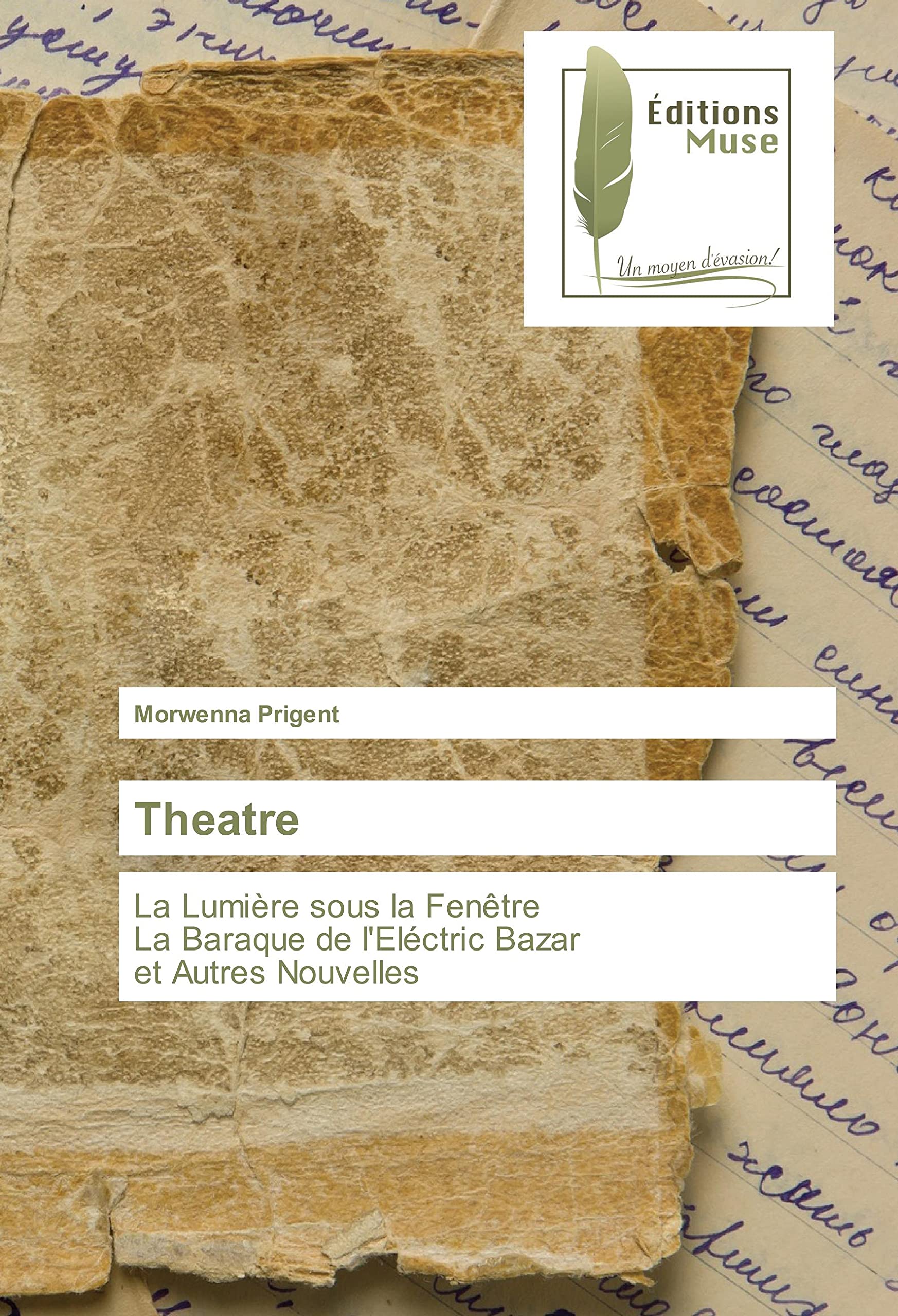 Theatre: La Lumière sous la Fenêtre La Baraque de l'Eléctric Bazar et Autres Nouvelles book