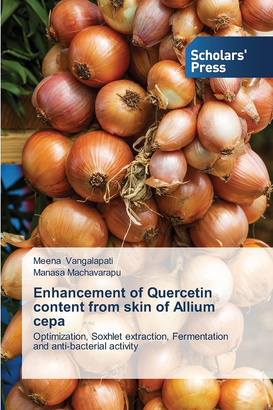 Enhancement of Quercetin content from skin of Allium cepa Business & Technology