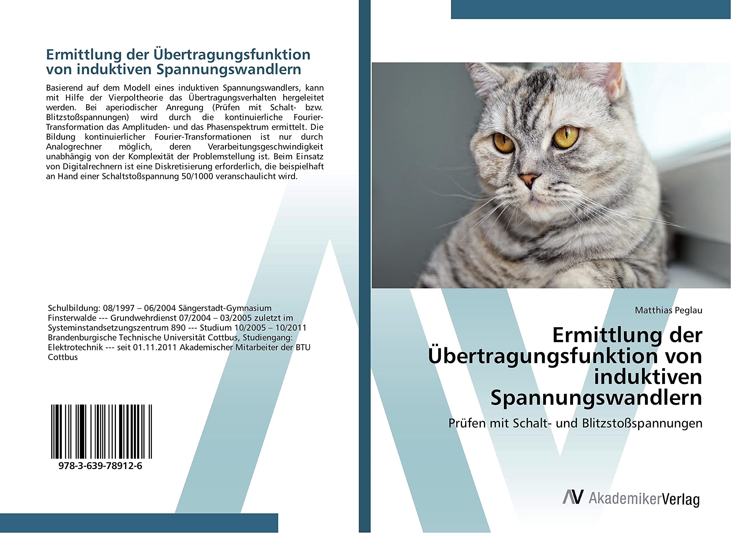 Ermittlung der Übertragungsfunktion von induktiven Spannungswandlern: Prüfen mit Schalt- und Blitzstoßspannungen Business & Technology