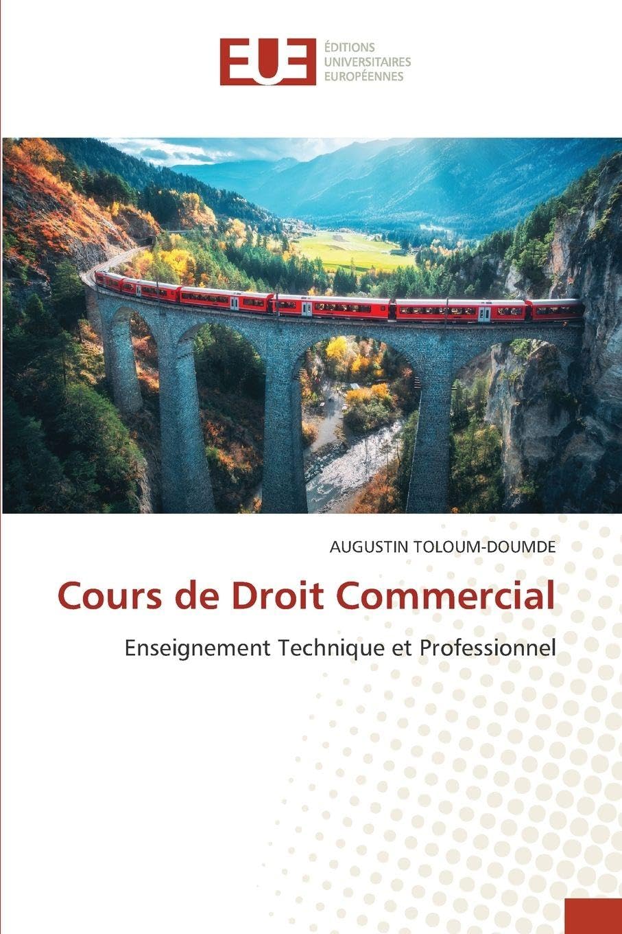 Cours de Droit Commercial Law