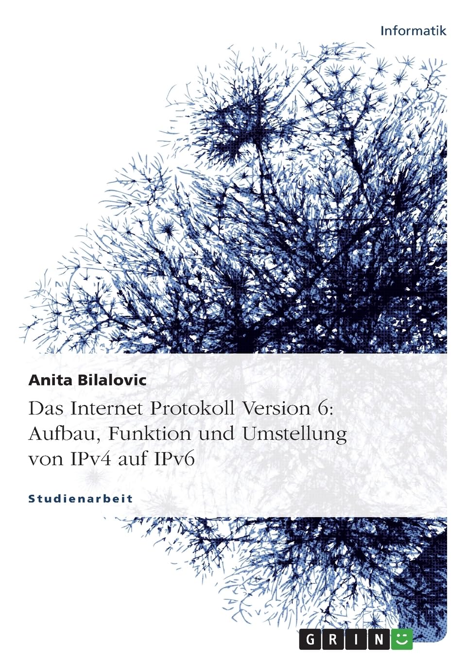 Das Internet Protokoll Version 6: Aufbau, Funktion und Umstellung von IPv4 auf IPv6 Professional & Reference Books