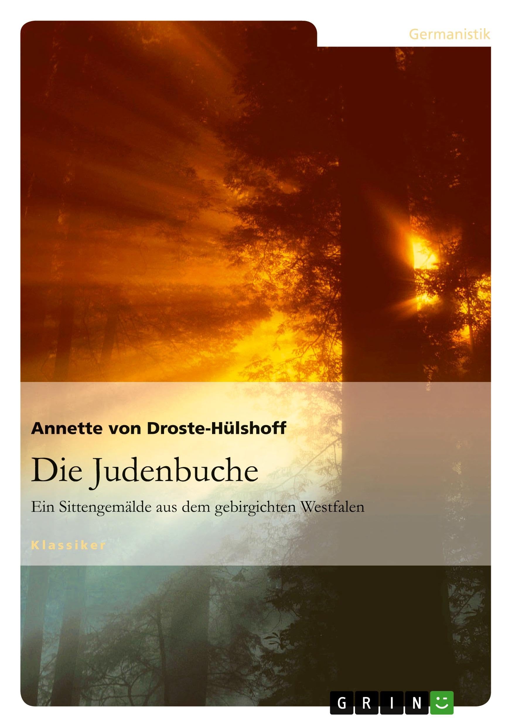 Die Judenbuche: Ein Sittengemälde aus dem gebirgichten Westfalen Classics