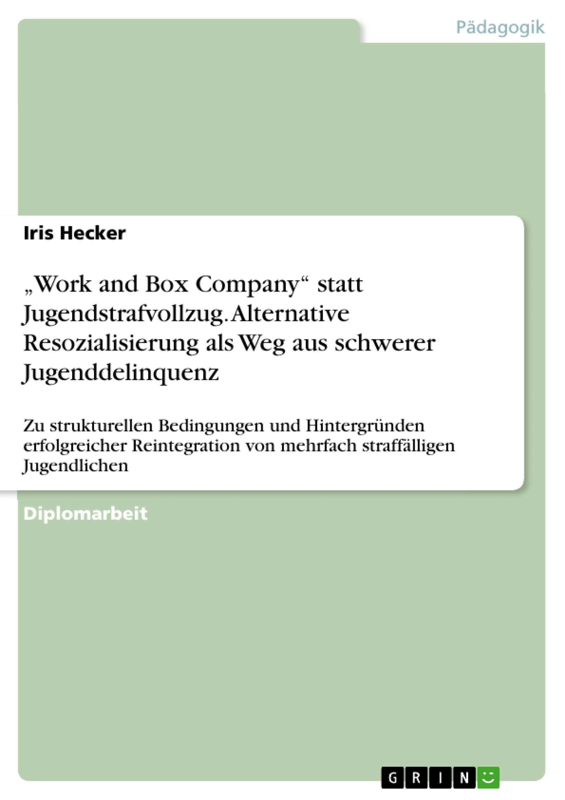 "Work and Box Company" statt Jugendstrafvollzug. Alternative Resozialisierung als Weg aus schwerer Jugenddelinquenz Study Guides
