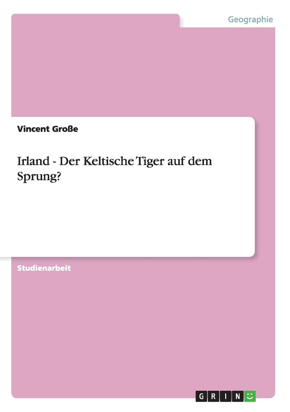 Irland - Der Keltische Tiger auf dem Sprung? Business, Finance & Career