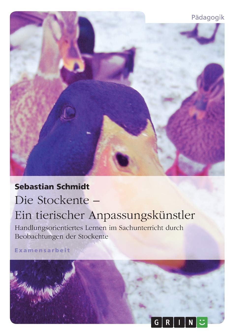 Die Stockente - ein tierischer Anpassungskünstler: Handlungsorientiertes Lernen im Sachunterricht durch Beobachtungen der Stockente Education & Training
