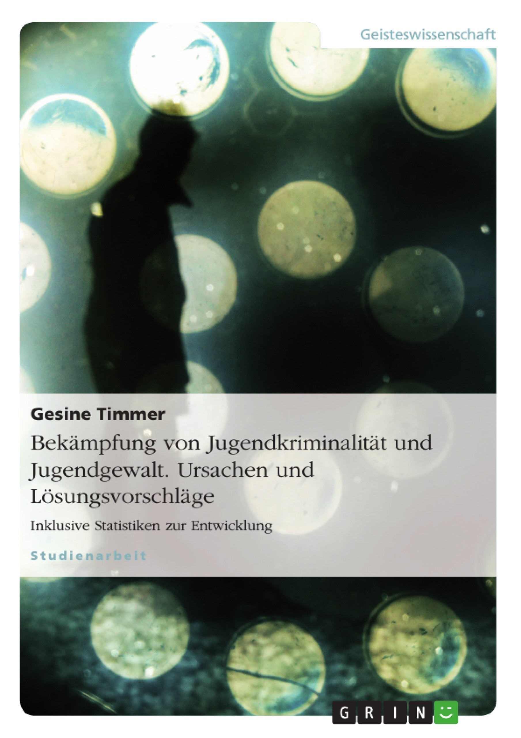 Bekämpfung von Jugendkriminalität  und Jugendgewalt. Ursachen und Lösungsvorschläge Education & Training