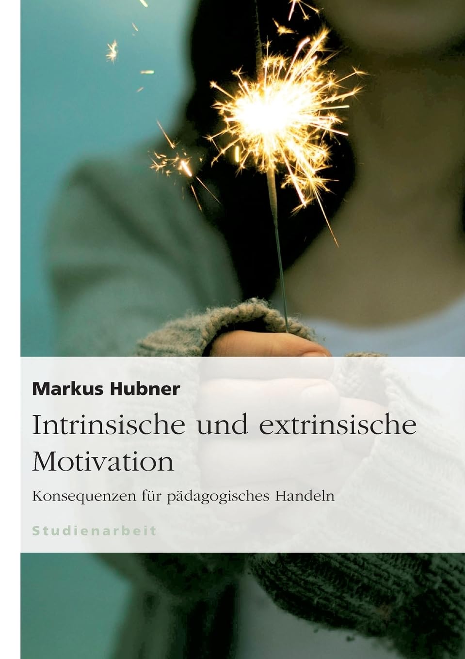 Intrinsische und extrinsische Motivation. Konsequenzen für pädagogisches Handeln Study Guides