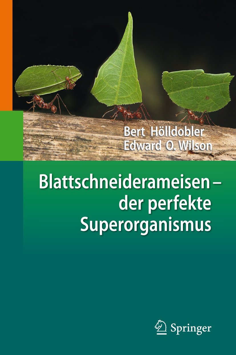 Blattschneiderameisen – der perfekte Superorganismus Medicine
