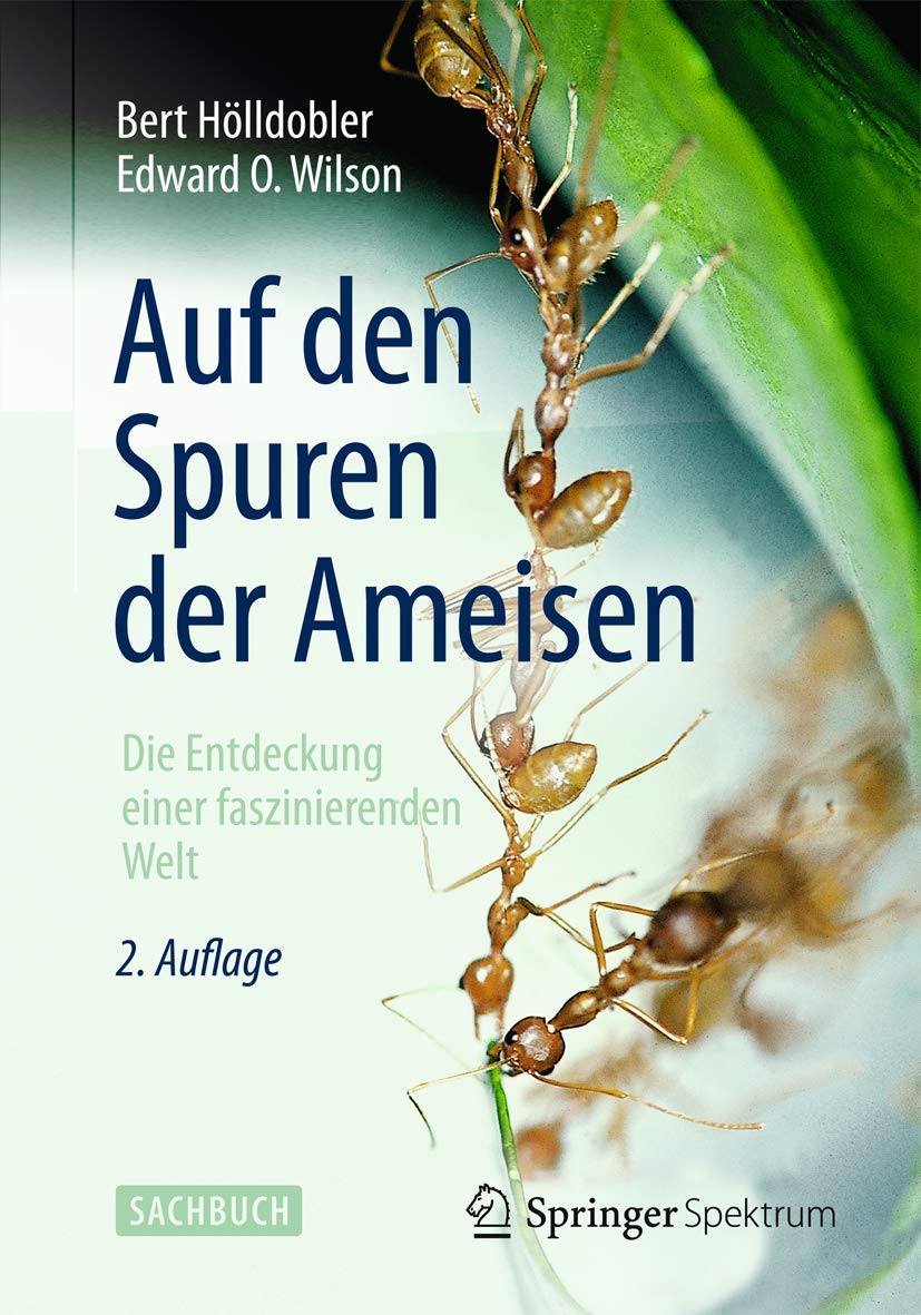 Auf den Spuren der Ameisen: Die Entdeckung einer faszinierenden Welt Natural Sciences