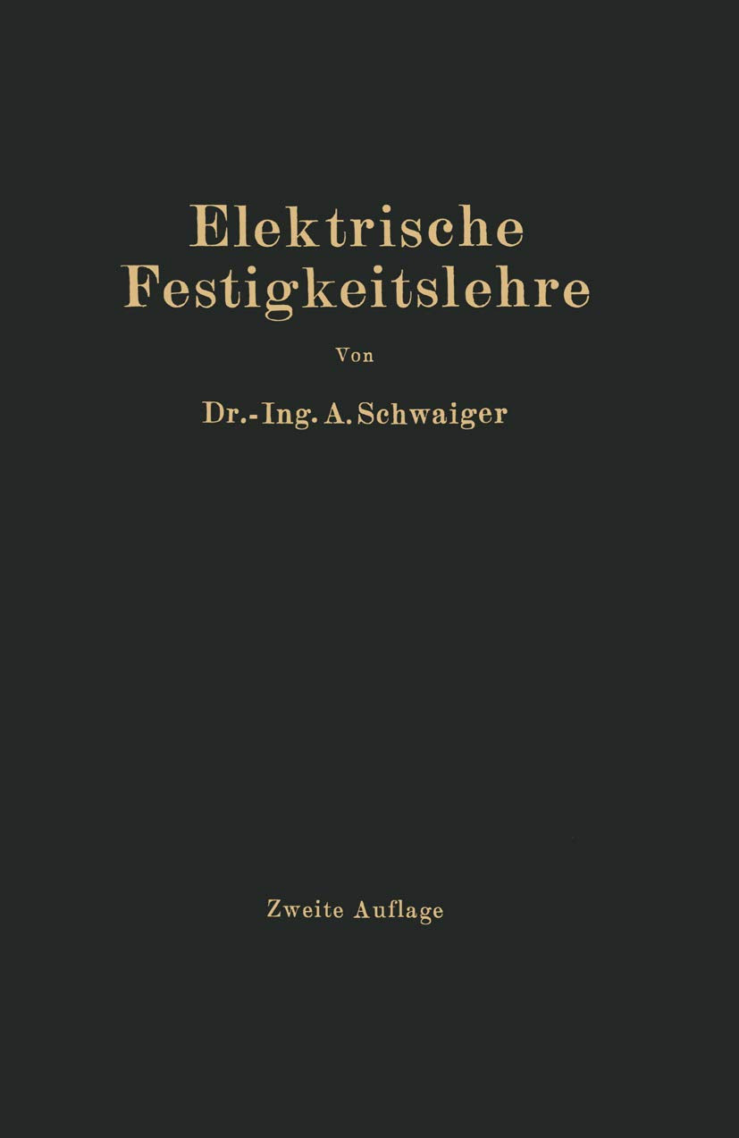 Elektrische Festigkeitslehre (German Edition) Natural Sciences