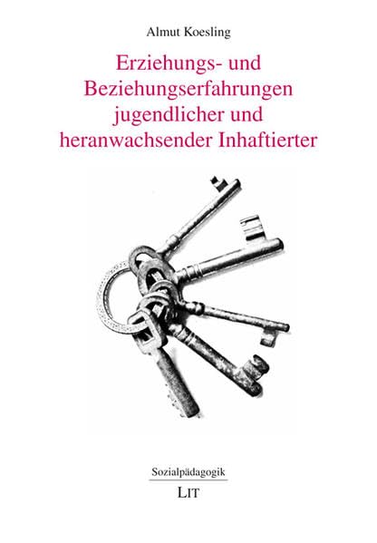 Erziehungs- und Beziehungserfahrungen jugendlicher und heranwachsender Inhaftierter book