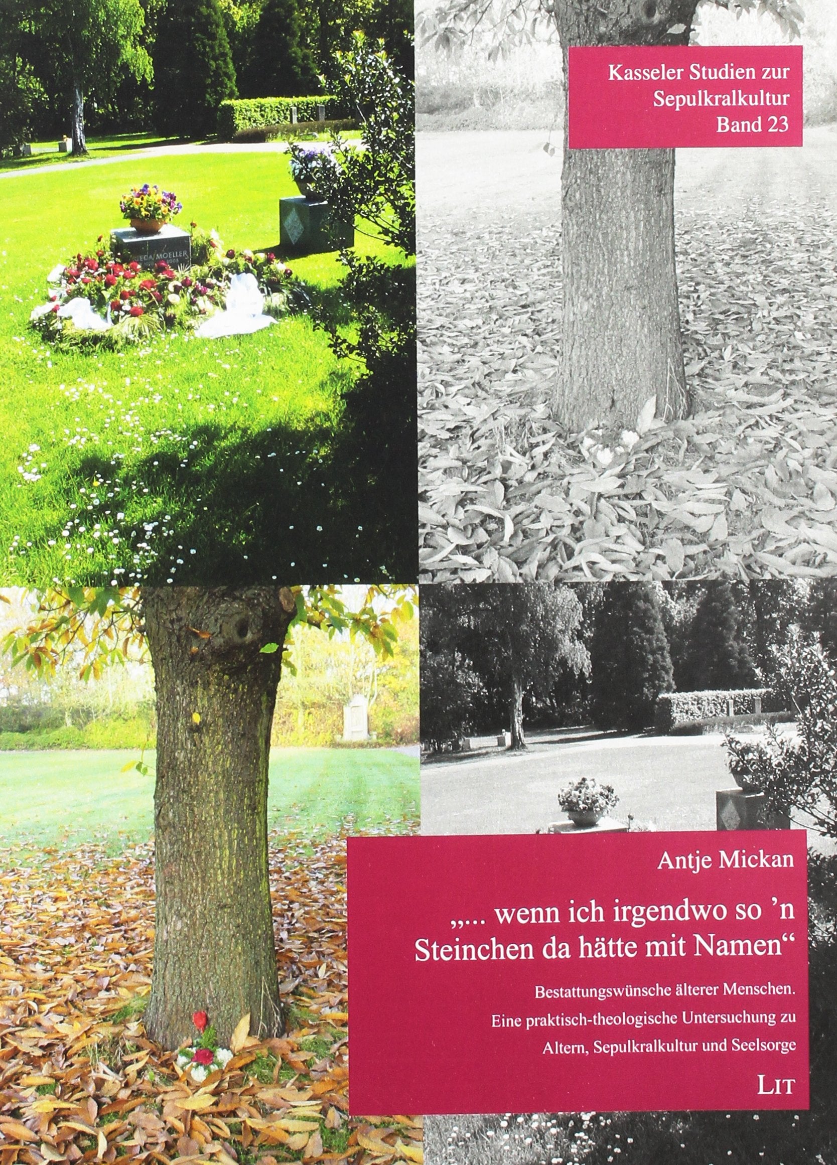 "... wenn ich irgendwo so'n Steinchen da hätte mit Namen" book