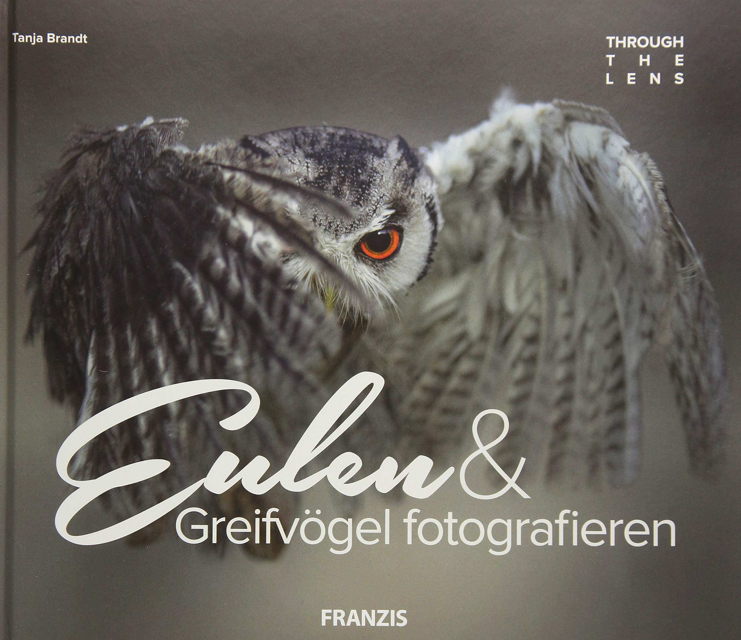 Eulen & Greifvögel fotografieren Photography
